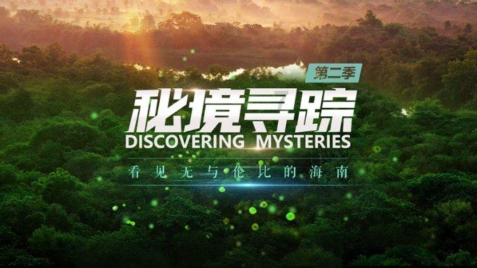 “大”地承瑞雪、“寒”冬万物藏，情暖新年近、围炉待春归