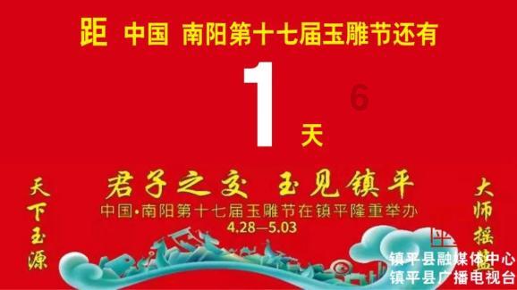 和珅被抄光家产后，在狱中自尽，他的九个妻妾是被如何处置的